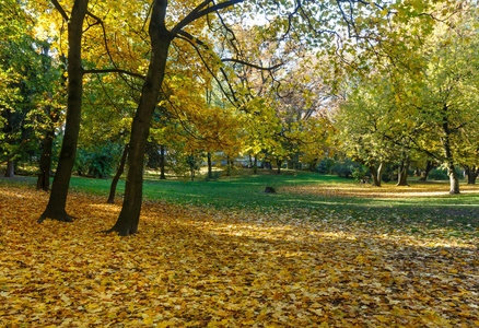 秋天的城市公园