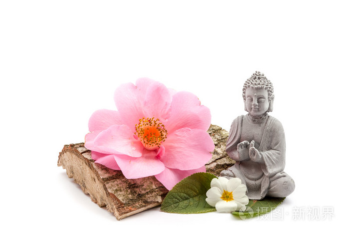 石头和树干白色花和佛