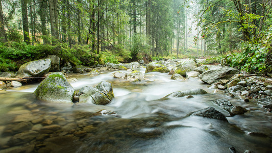 与山树景观和一条河在前面