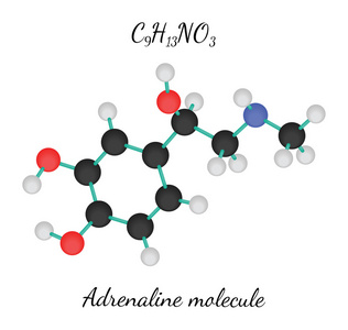 C9h13no3 肾上腺素分子