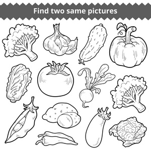 找到两个相同的图片。向量集的蔬菜