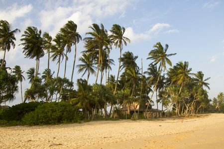 斯里兰卡坦噶勒海滩日落