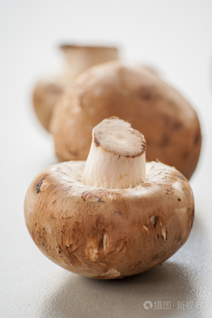 新鲜的褐色蘑菇