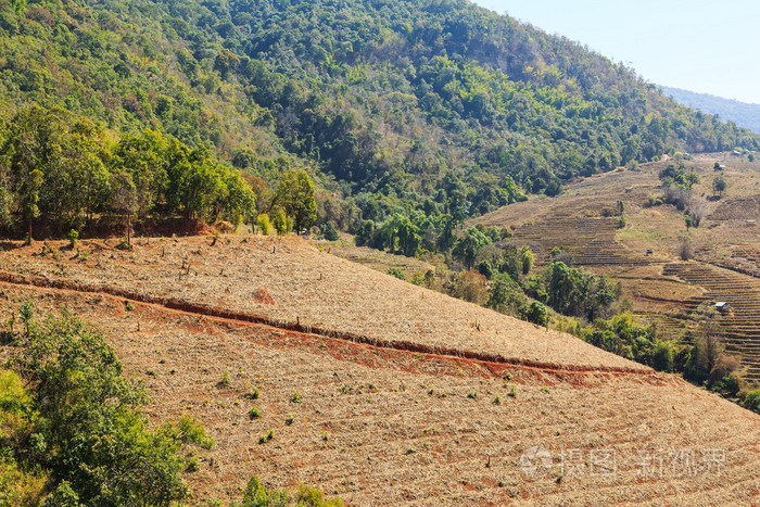贫瘠的梯田