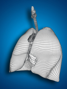线框呼吸系统