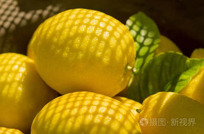 在夏日的阳光下的柠檬
