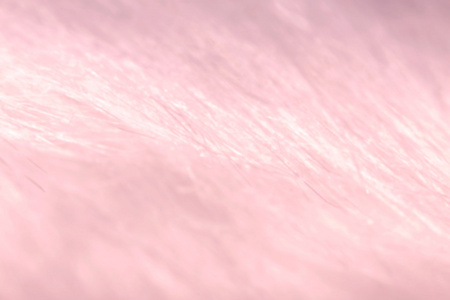 抽象背景模糊的粉红色的人造毛皮面料