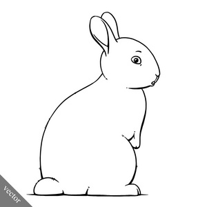 灰色垂耳兔漫画图片