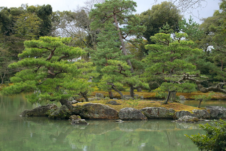 在早期的秋天，京都的日本花园