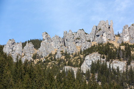 chocholowska 山谷的悬崖 (mnichy chocholowskie).tatra.波兰照片
