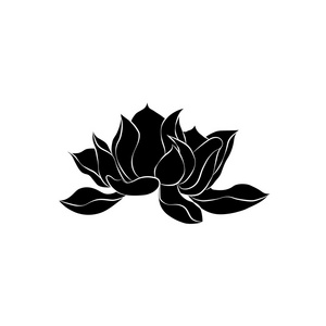 莲花.在白色背景上的黑色剪影.手绘 v照片