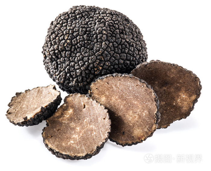 孤立在白色背景上的黑菌