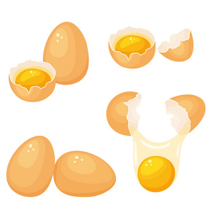 鸡蛋蛋黄集