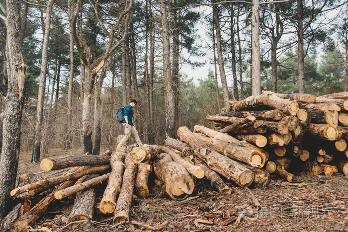旅行者在砍伐树林堆栈上行走