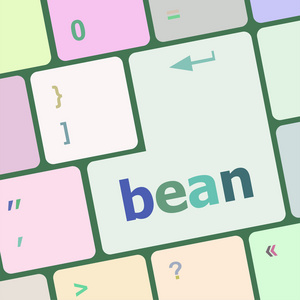 bean word 键盘键，笔记本计算机按钮矢量插图