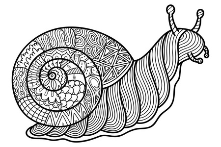 英语花园里的蜗牛图片