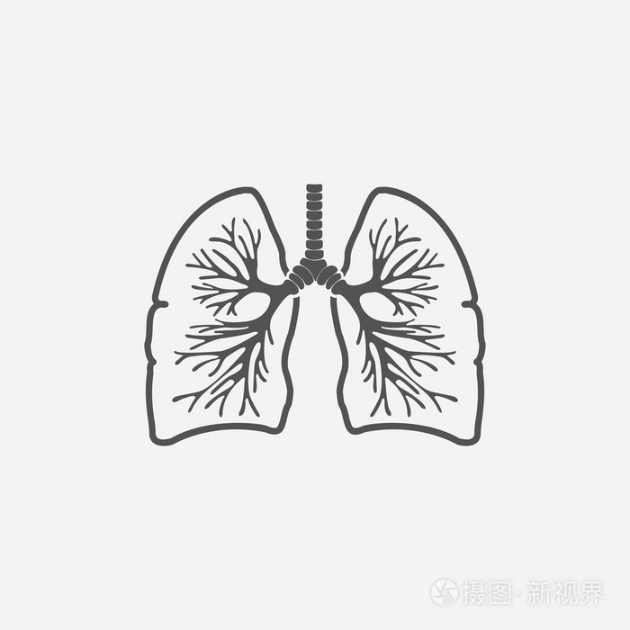 肺的web 和移动矢量图图标