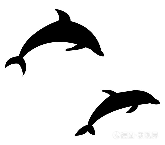 在白色背景上的海豚照片 正版商用图片1n7ktw 摄图新视界 在白色背景上的海豚照片 正版商用图片1n7ktw 摄图新视界