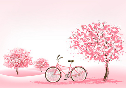 一棵开花的树和一辆自行车的春天背景。矢量