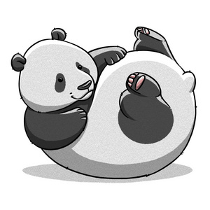 胖熊肥熊图片
