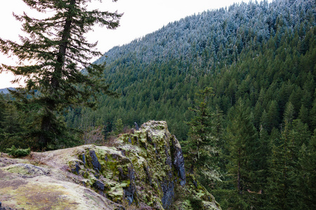 俄勒冈州岩石在森林中的外延