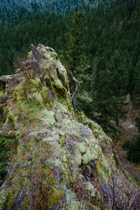 俄勒冈州岩石在森林中的外延