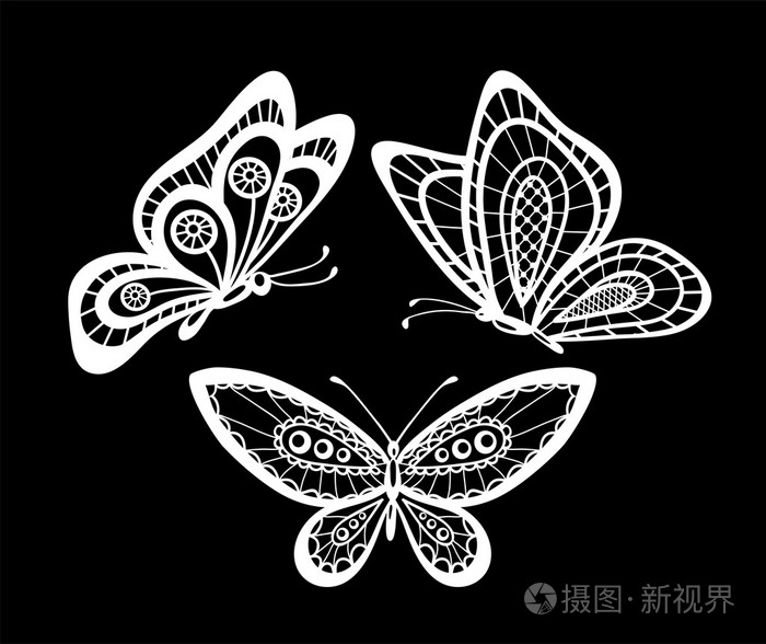 一套漂亮的黑白假花边蝴蝶插画-正版商用图片1n7xau-摄图新视界