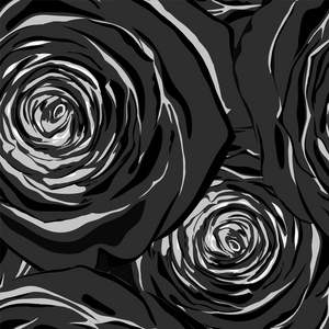 玫瑰美丽黑色和白色无缝模式