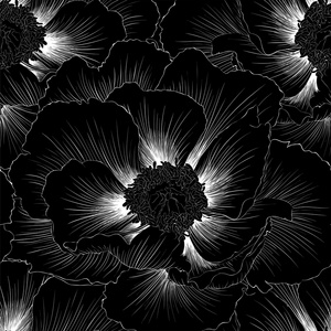 美丽单色黑色和白色无缝背景与鲜花。手绘轮廓线和描边