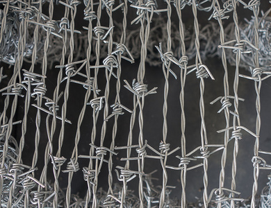 卷带刺铁丝网图片