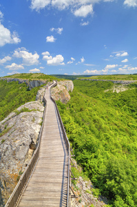 美丽的风景与木桥