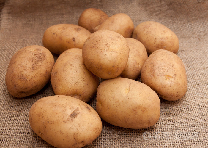 堆的麻袋土豆照片-正版商用图片1n80t4-摄图新视界