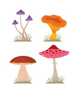 蘑菇矢量插图设置不同类型的隔离wh