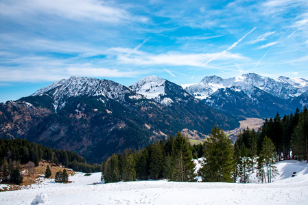 令人惊异的看法德国阿尔卑斯山