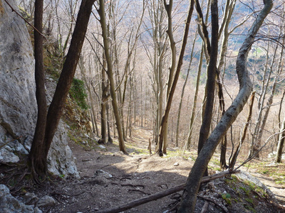 接近克特雷茨尼克斯洛韦尼亚攀岩悬崖的小路
