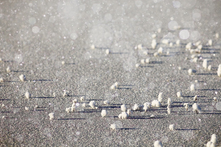 天雪闪亮森林