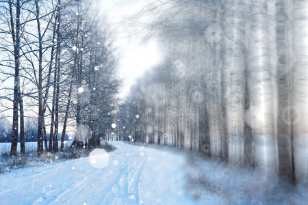 在冬季森林降雪