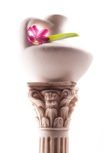 古典柱式与花
