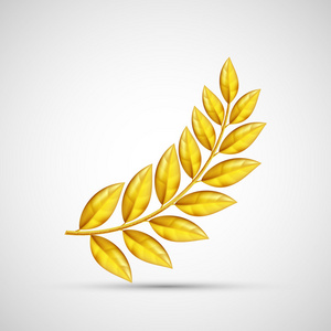图标金色橄榄枝。象征着胜利和奖励