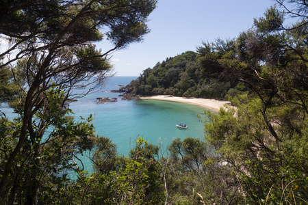 在 Tutukaka 海岸在新西兰鲸湾