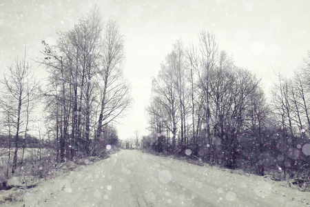 冬天下雪路在森林中