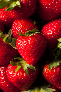 原始的红色有机草莓
