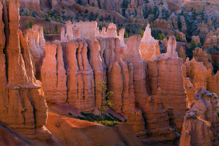 布莱斯峡谷 Hoodoos