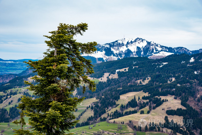 神奇的山林景观