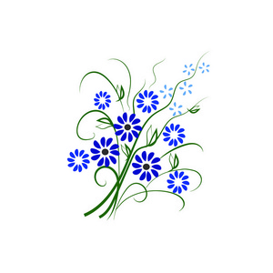 美丽的孤立蓝色花朵