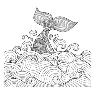 鲸鱼的尾巴图片-鲸鱼的尾巴素材-鲸鱼的尾巴插画-摄图新视界