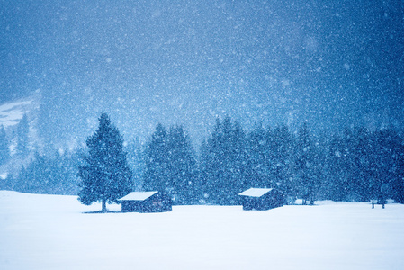 雪冬天风景