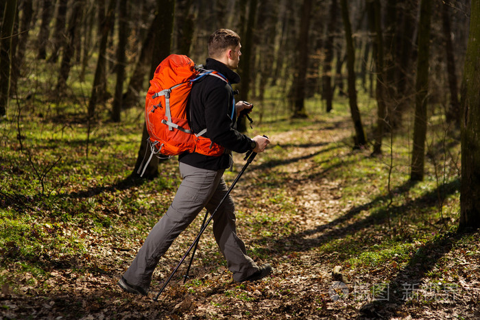 积极健康的人在美丽的森林徒步旅行