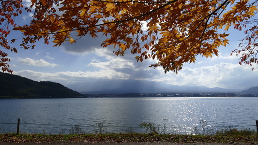 日本河口湖美丽的秋天风景和背景，