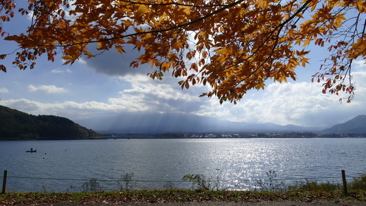 日本河口湖美丽的秋天风景和背景，